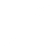 Embroidered Logo